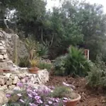 Maison De Soleil *