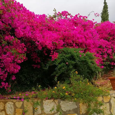 La Maison Du Soleil * Scopello (Sicily)