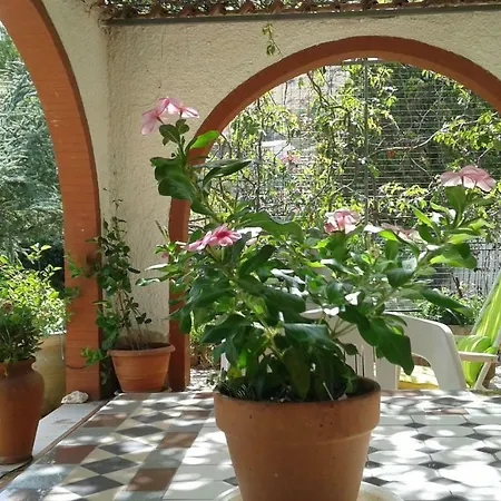 La Maison Du Soleil
